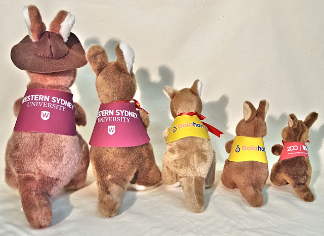 Corporate kangaroo stuffed toys in branded jackets